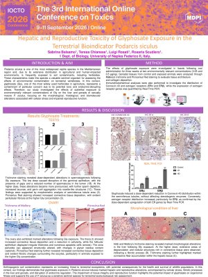 poster Balsamo Sabrina.pdf